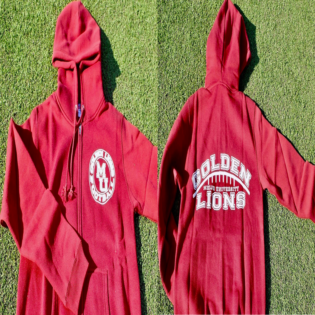 GOLDEN LIONS 応援グッズ サンバイザー